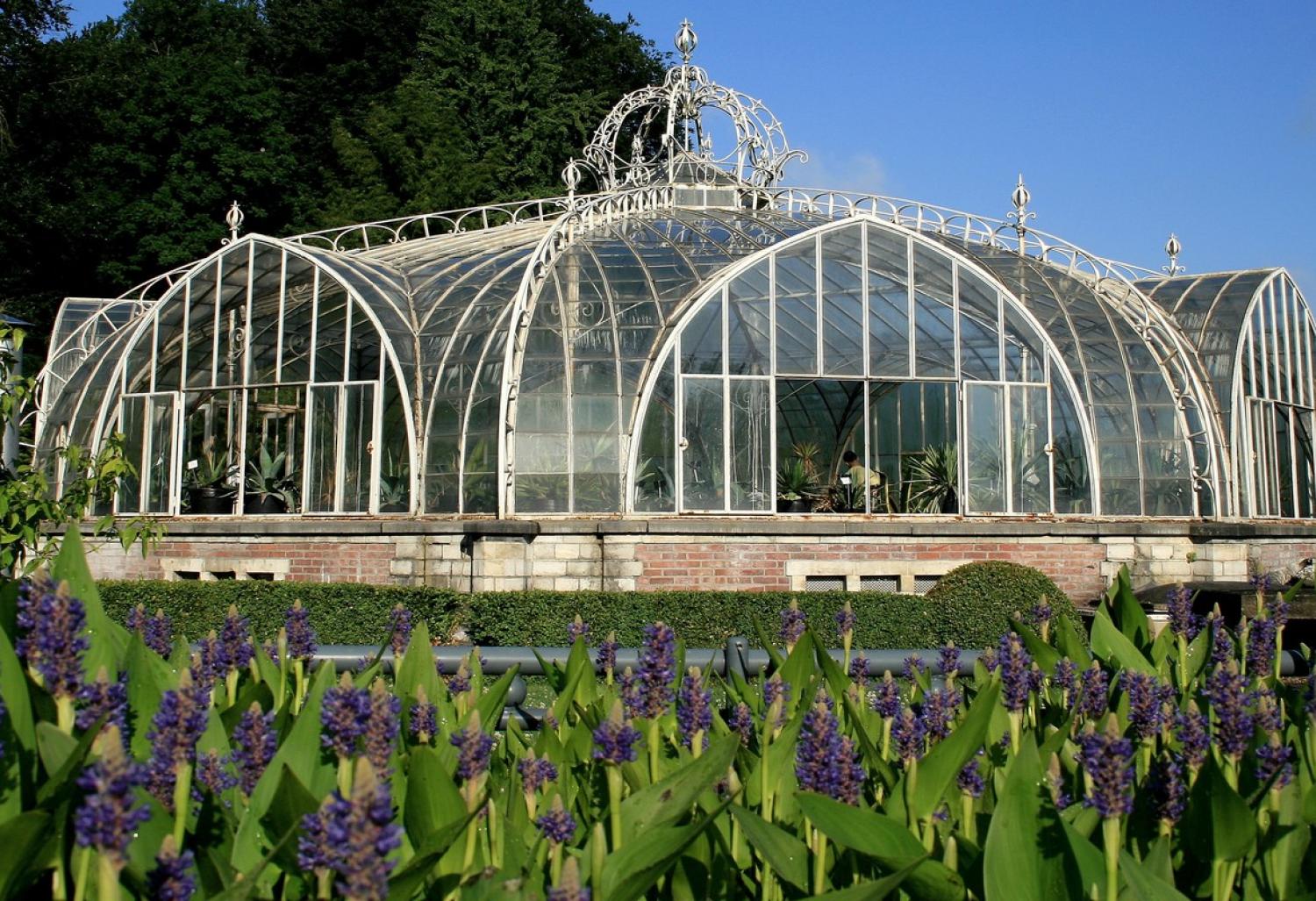 Botanic Garden Meise